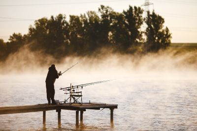Feeder fishing