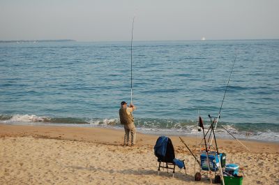 Fishing for Sea Bass while Surfcasting