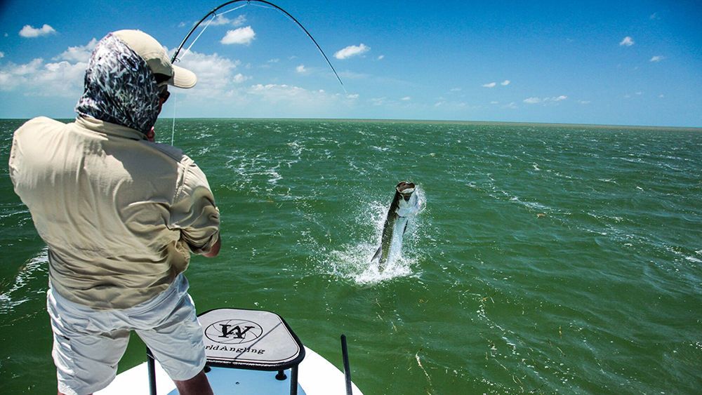 Support fishing for Bass