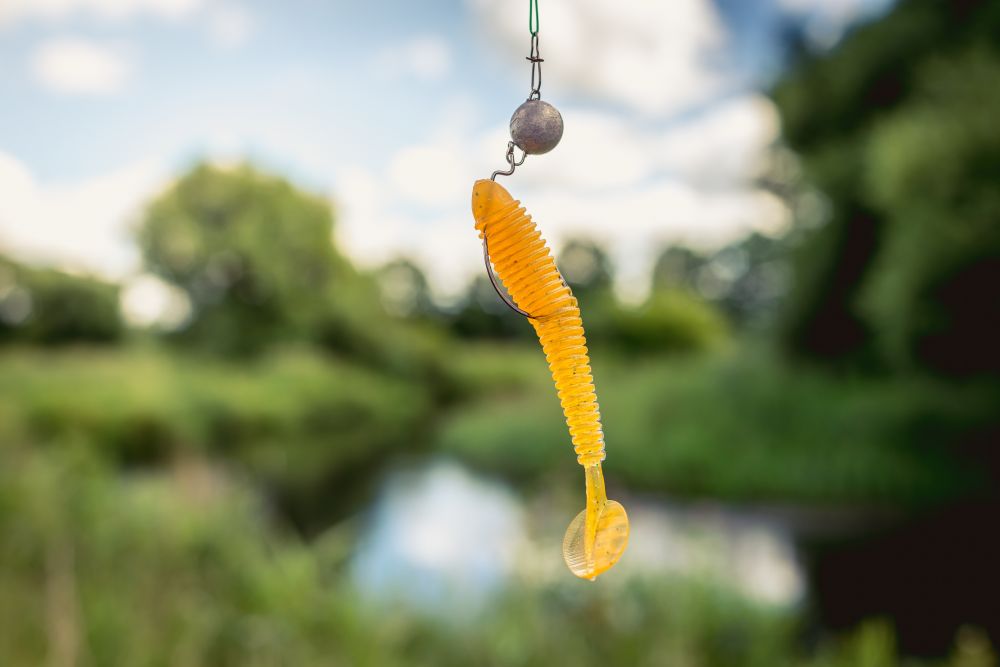 Fishing for pike with soft lure