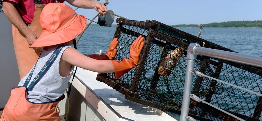 Trap fishing for lobster